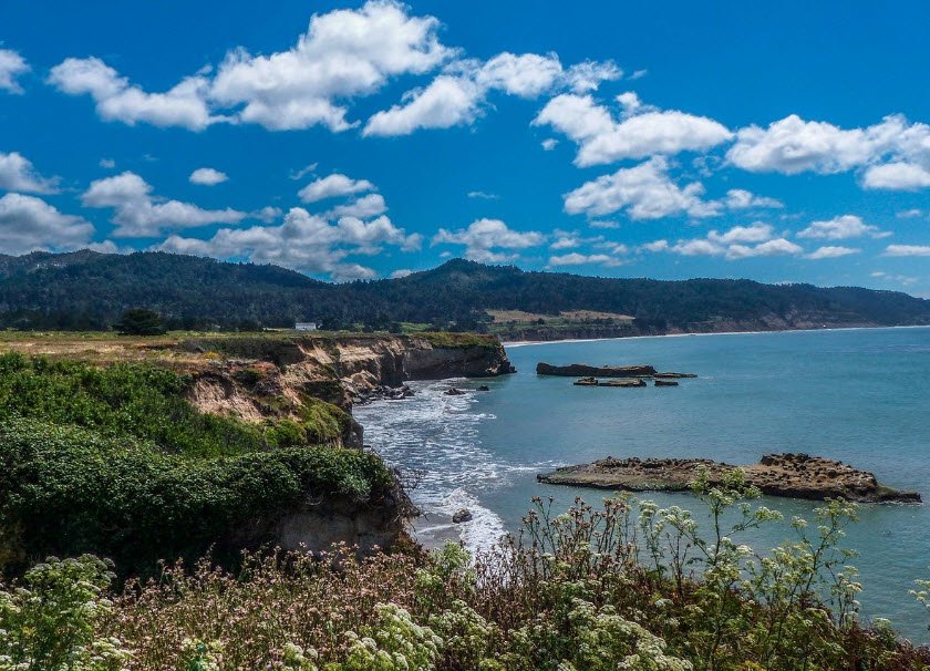 Año Nuevo State Park, California, USA